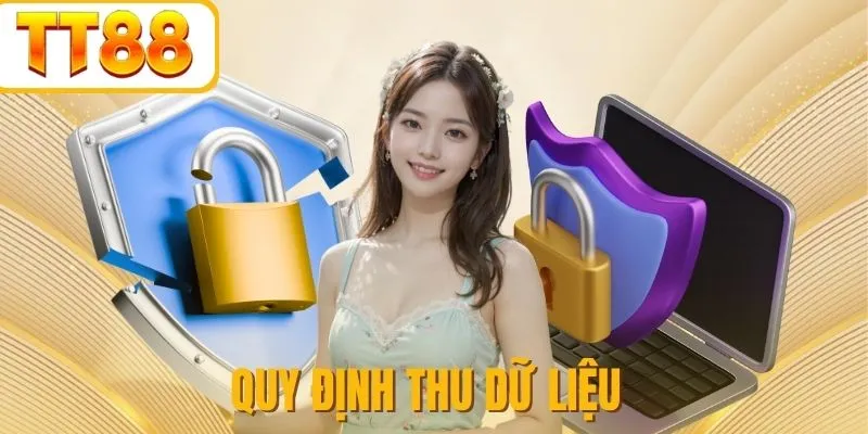 Nguyên tắc khi thu thập